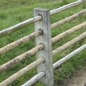 Poste Aguja1