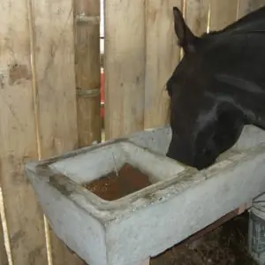 Saladero o comedero equino de doble compartimento2